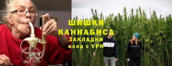 сатива Абаза