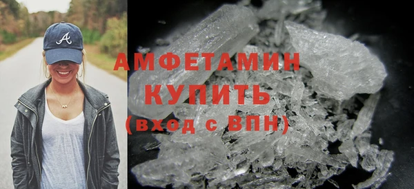 сатива Абаза